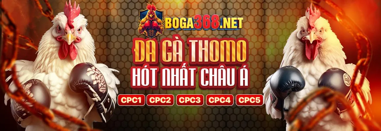 Hình ảnh minh họa chính sách cookie và bảo mật dữ liệu của cfun68 apk