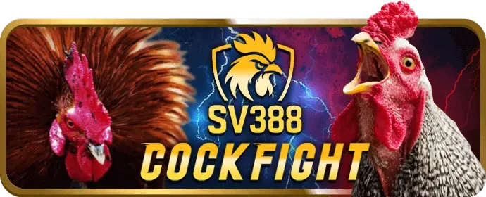Hướng dẫn sử dụng cfun68 apk an toàn và hiệu quả